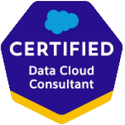 Data Cloud Consultant
